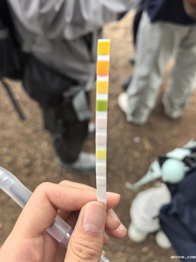 fa0ebf645e46025dfd038ef2f6aed1b